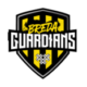 Logo Breda Guardians