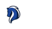 ETT